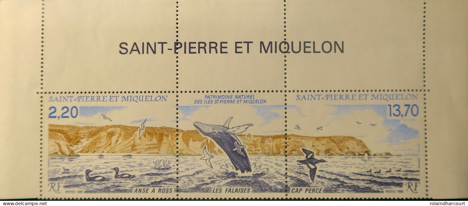 LP3969/445 - SPM - 1988 - Patrimoine Naturel Des îles Saint-Pierre Et Miquelon - Triptyque N°495A NEUF** Haut De Feuille - Unused Stamps