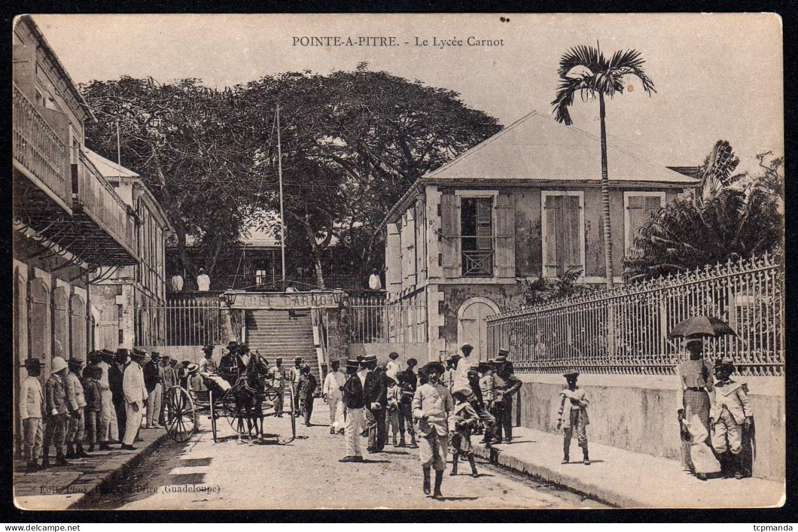 POINTE-À-PITRE - Le Lycée Carnot - Pointe A Pitre