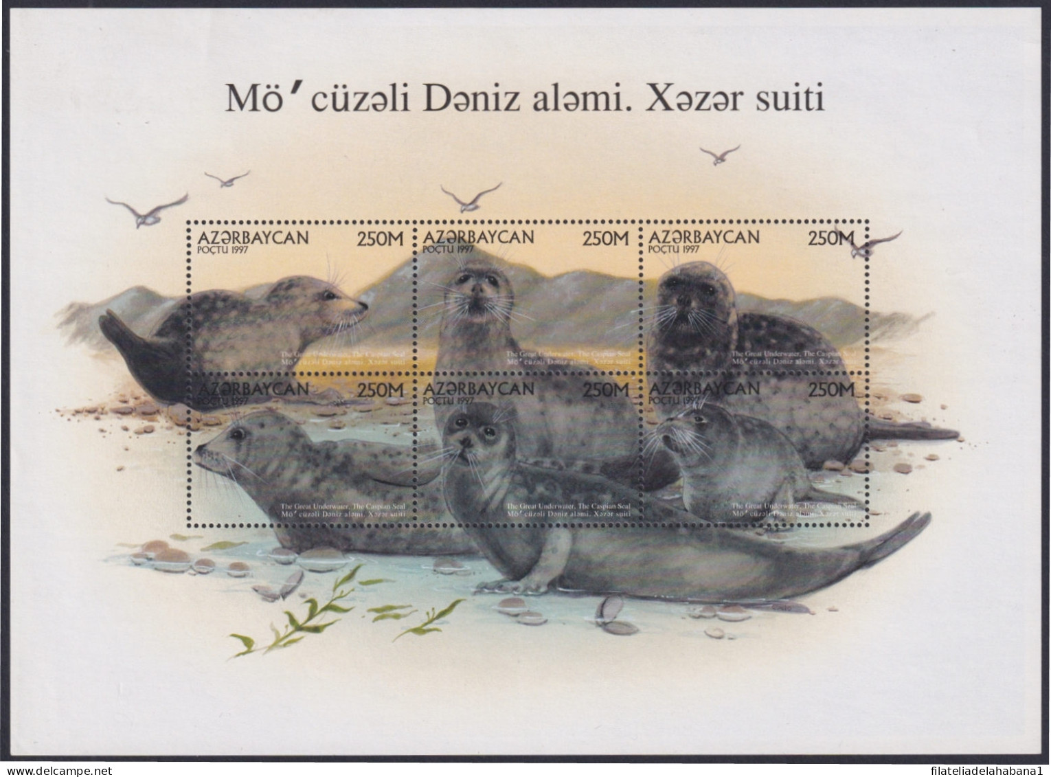 F-EX46661 AZERBAIJAN MNH 1997 MARINE WILDLIFE CASPIAN MARINE SEALS.  - Autres & Non Classés