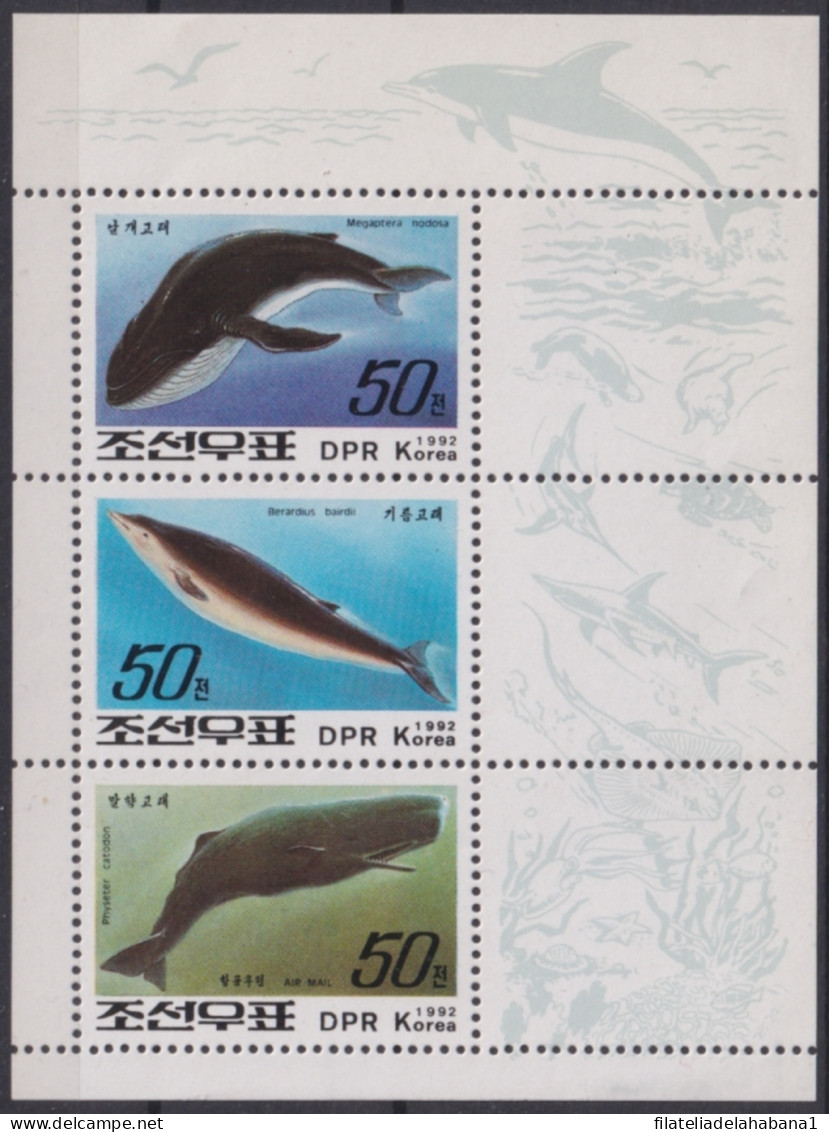 F-EX48312 KOREA MNH 1992 MARINE WILDLIFE WHALE FISH.  - Baleines