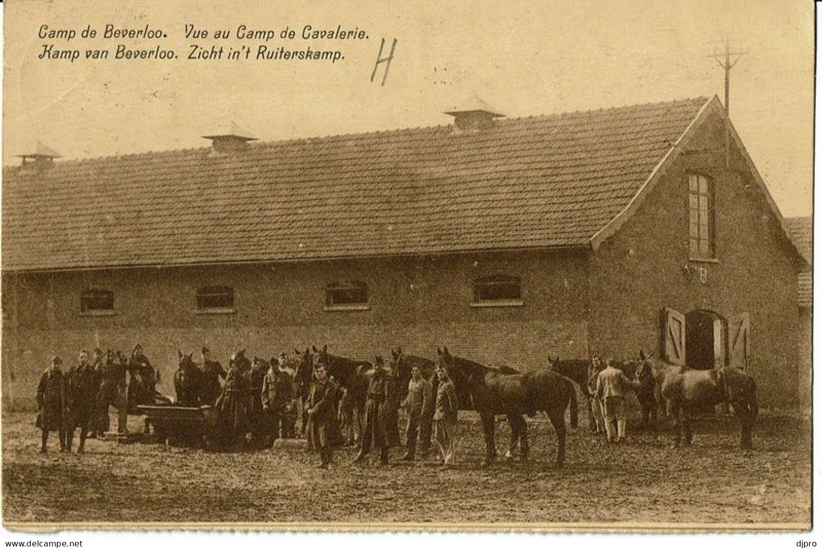 Camp De Beverloo Vue Au Champ De Cavelerie   1925 - Leopoldsburg (Camp De Beverloo)