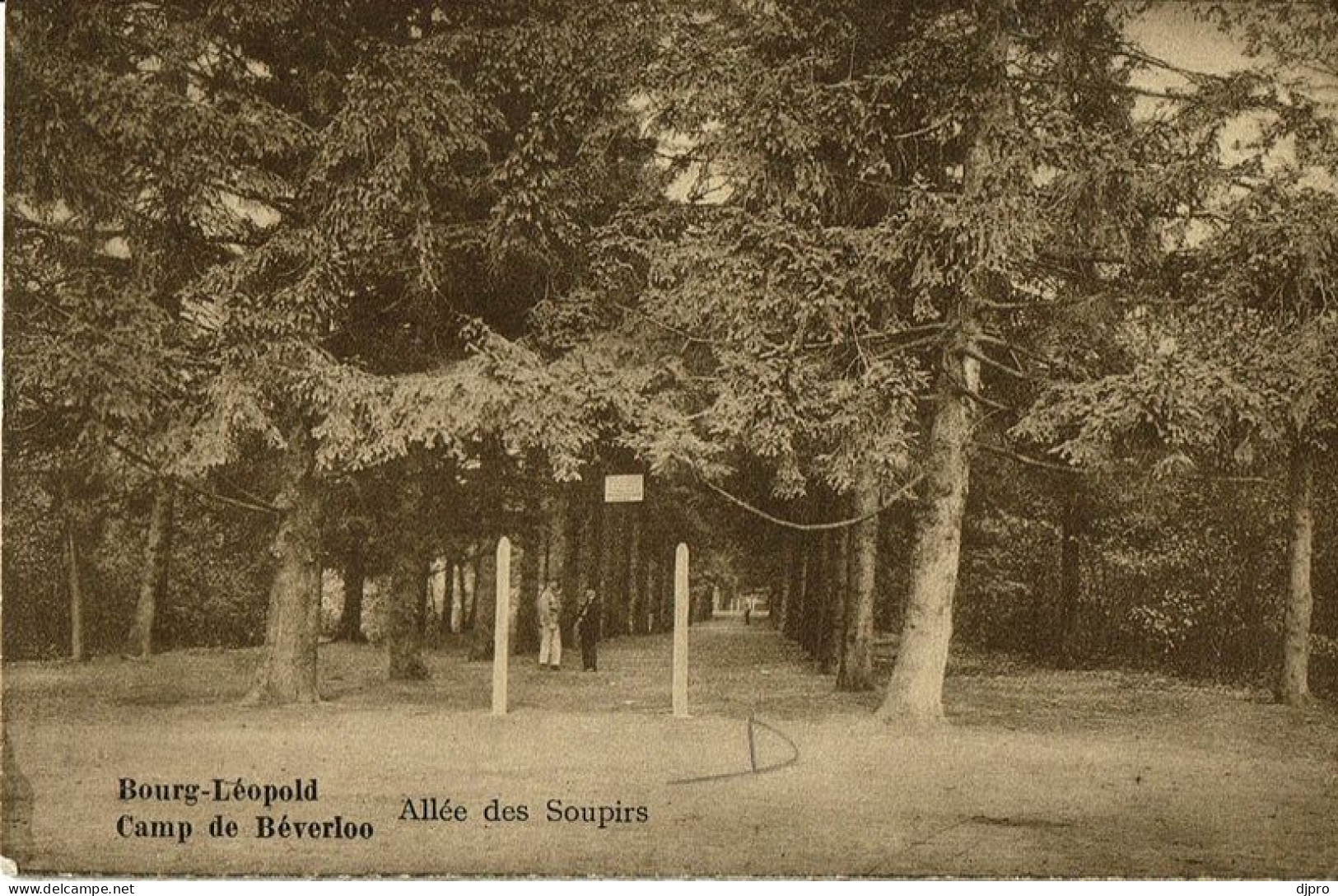 Camp De Beverloo Allée Des Soupris - Leopoldsburg (Camp De Beverloo)