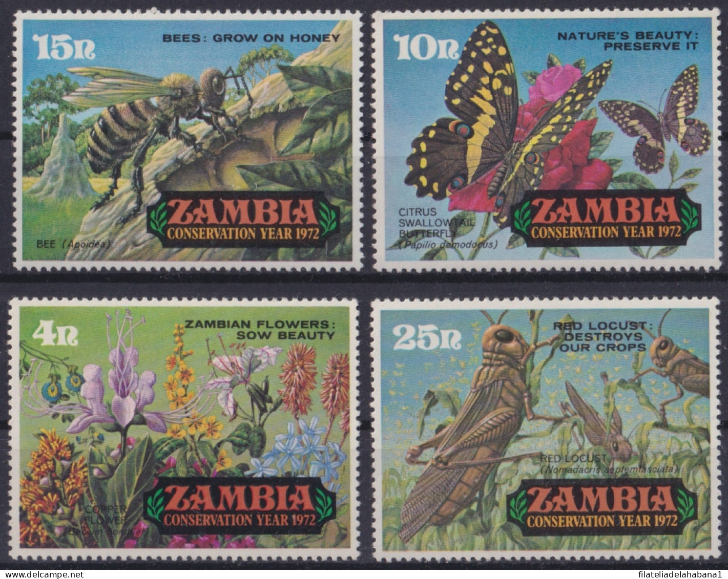 F-EX48303 ZAMBIA MNH 1972 BEE BUTTERFLIES INSECTS’ MARIPOSAS PAPILLON.  - Papillons