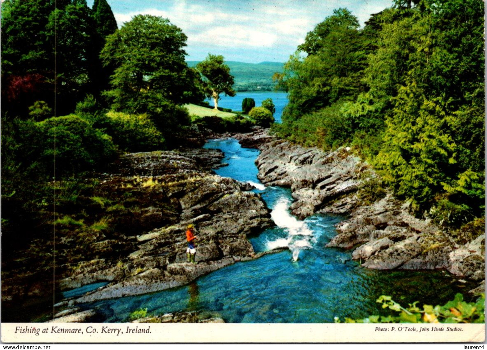 24-3-2024 (3 Y 51) Ireland - Co-Kerry (river & Trees) (posted To France 1983 ?) John Hinde 2/549 - Kerry