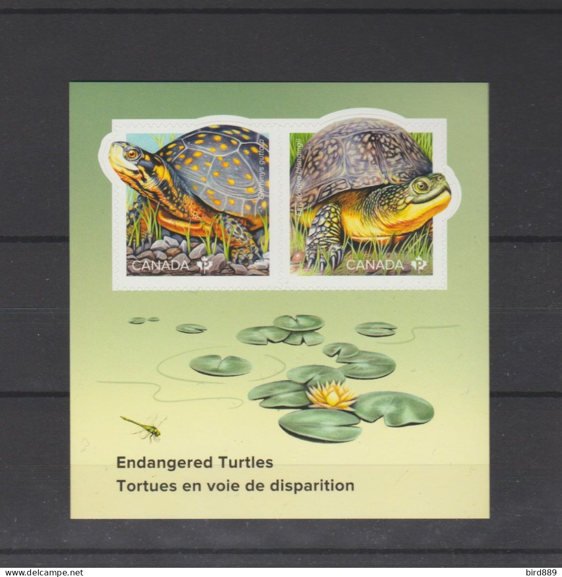 2019 Canada Turtles Mini Sheet Of 2  Self Adhesive Stamps MNH - Nuevos