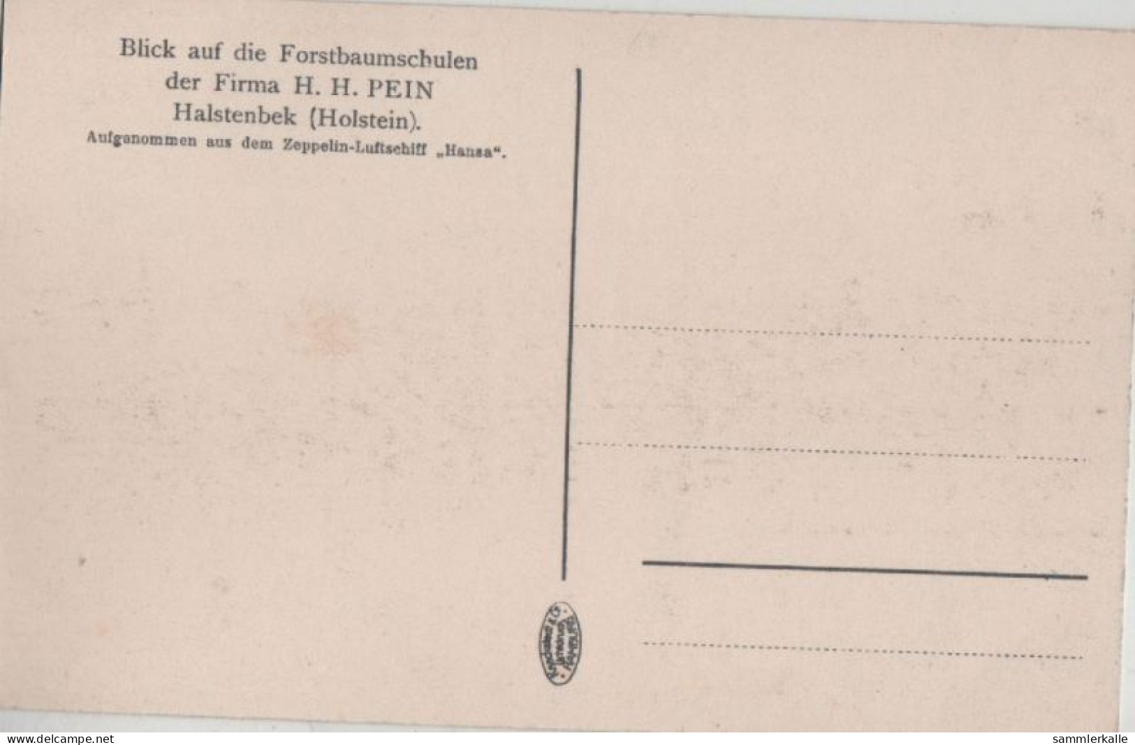 108906 - Halstenbek, Holstein - Aufnahme Aus Zeppelin - Pinneberg