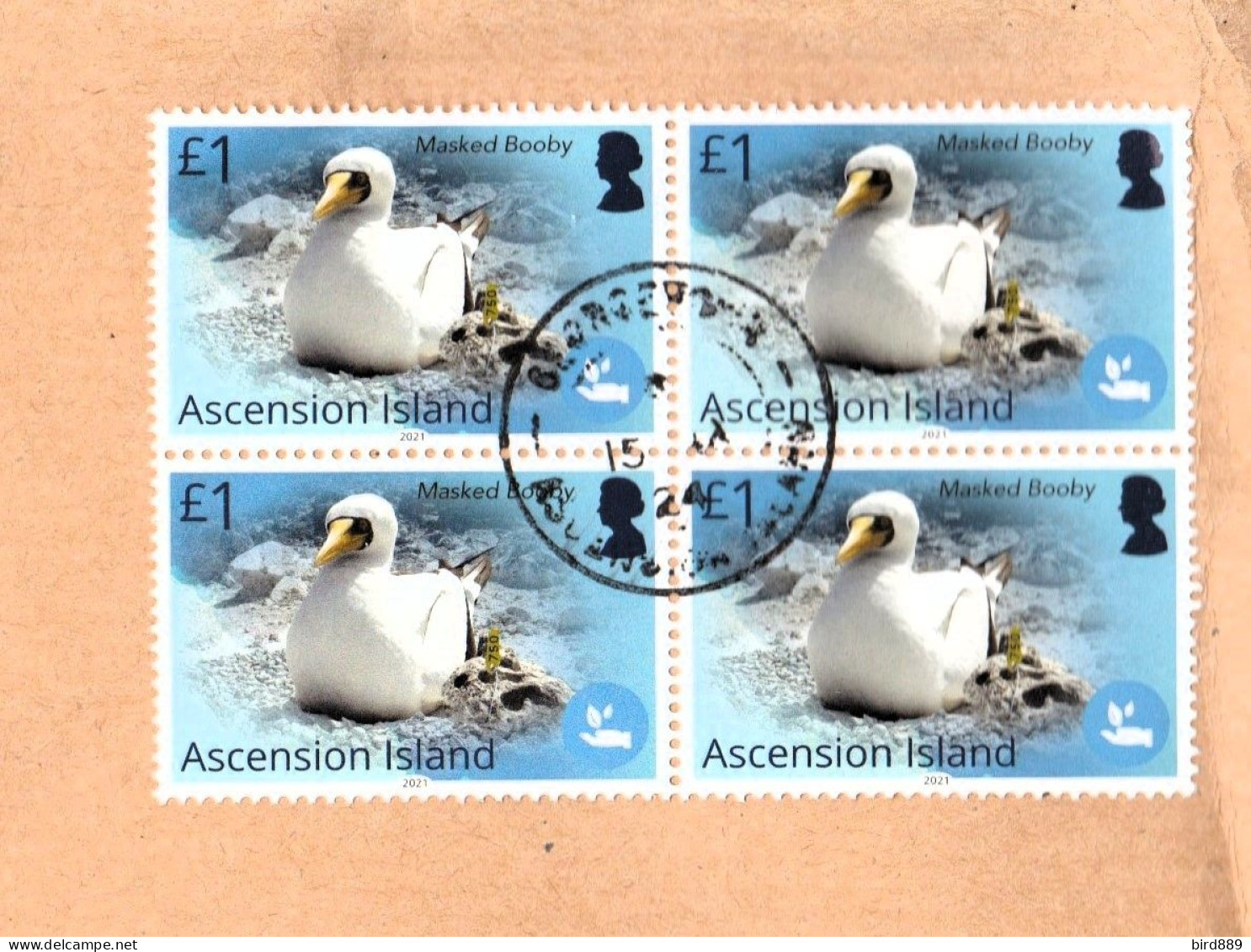 2021 Ascension Fauna Bird Masked Booby Block Of 4 Stamps Used On Paper 2024 Cancel - Ascension