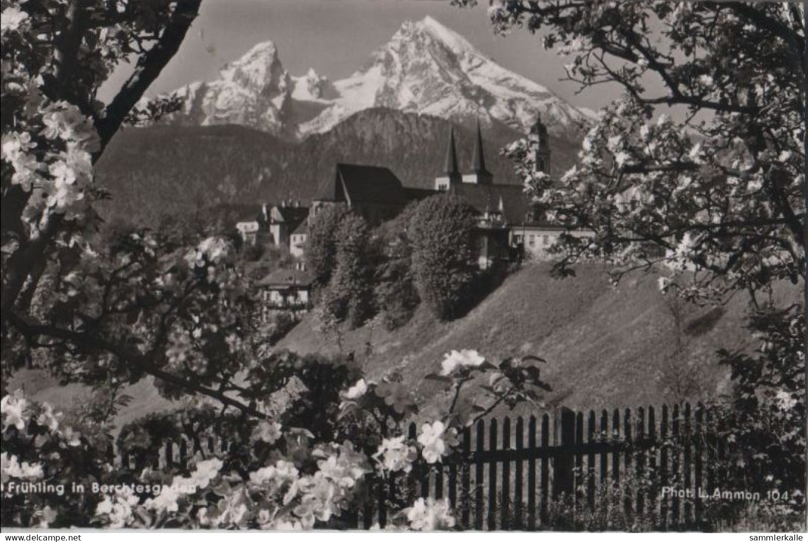 57340 - Berchtesgaden - Frühling - 1957 - Berchtesgaden