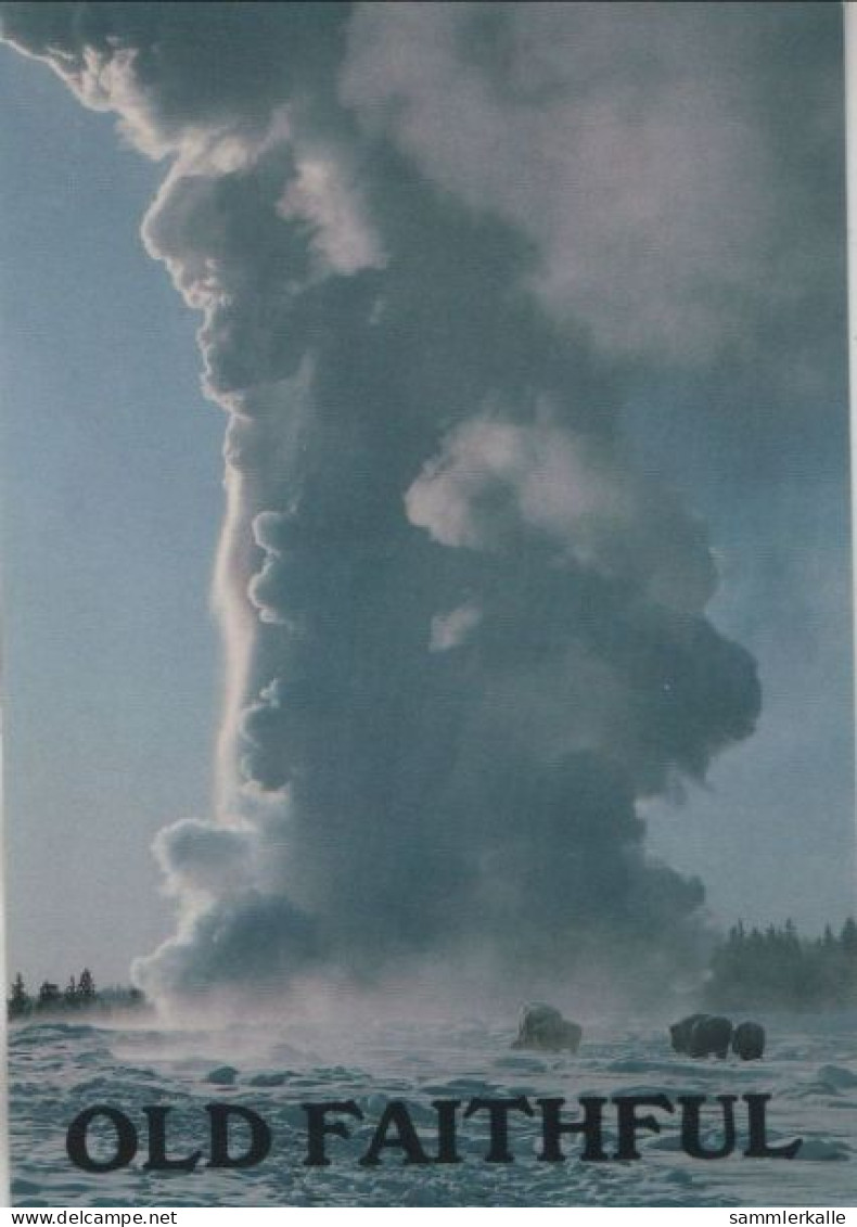 47707 - USA - Yellowstone National Park - Old Faithful - 1992 - Yellowstone