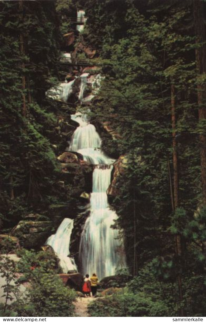 136761 - Triberg - Wasserfall - Triberg