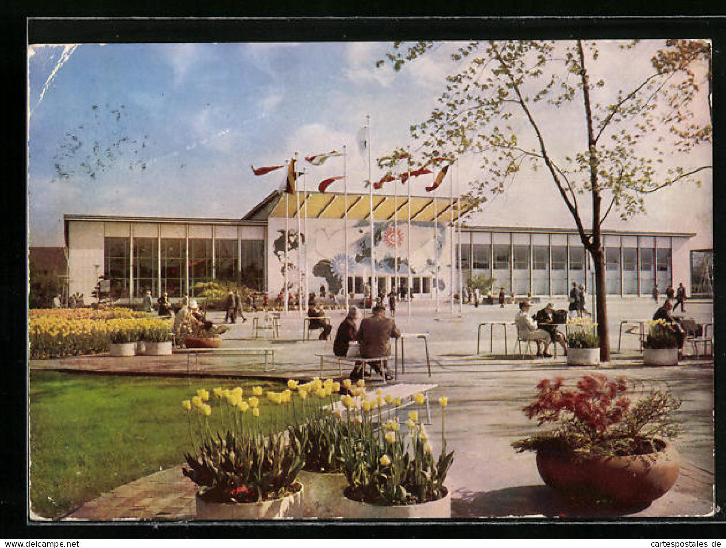 AK Erfurt, Ausstellung Der Gartenbauausstellung Der Sozialistischen Ländern 1961, Vor Der Ausstellungshalle  - Exhibitions