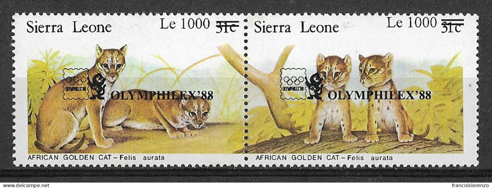 Sierra Leone 1988 Wild Animals Cats Of Prey Philately South Korea Stamp Exhibition Olymphilex Rare Set MNH - Big Cats (cats Of Prey)
