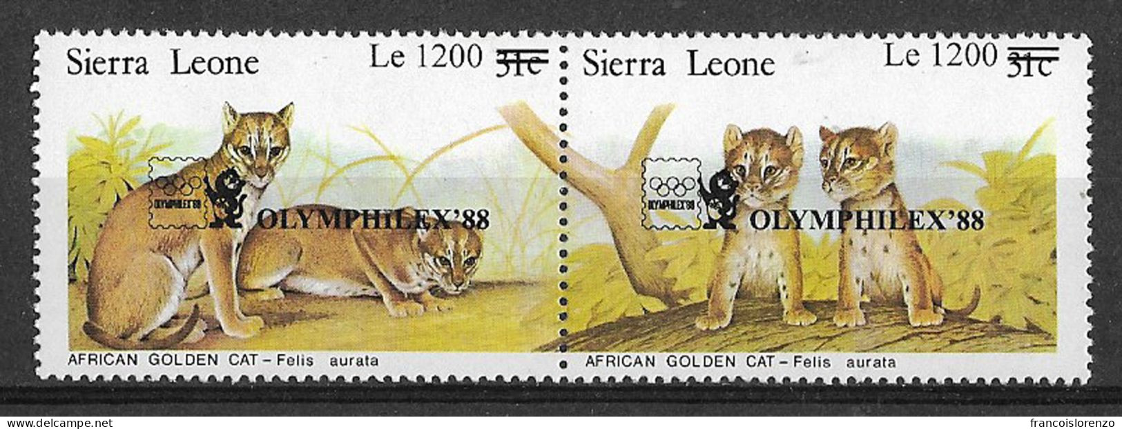 Sierra Leone 1988 Wild Animals Cats Of Prey Philately South Korea Stamp Exhibition Olymphilex Rare Set MNH - Raubkatzen