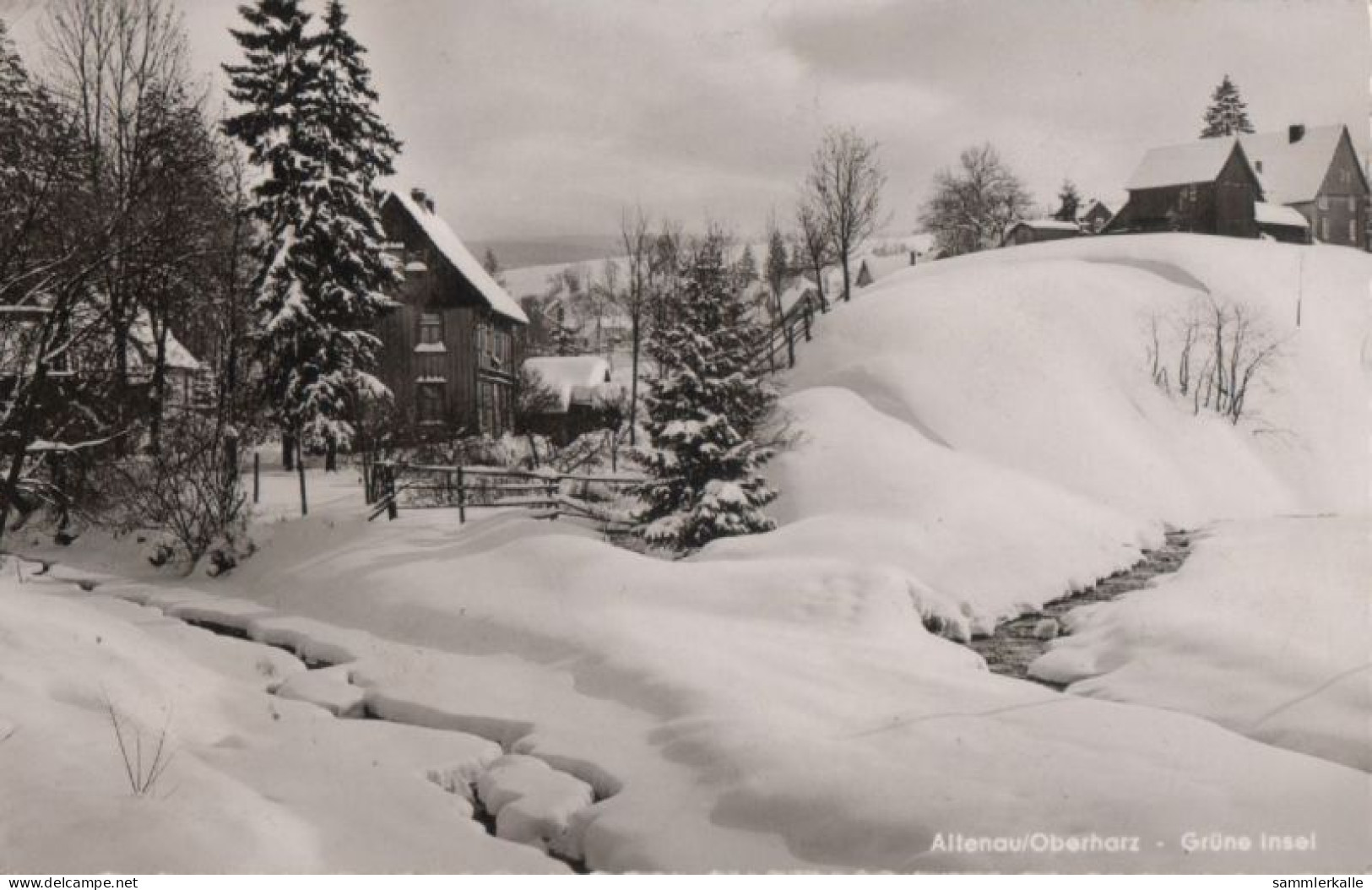 71994 - Altenau - Grüne Insel - Ca. 1960 - Altenau