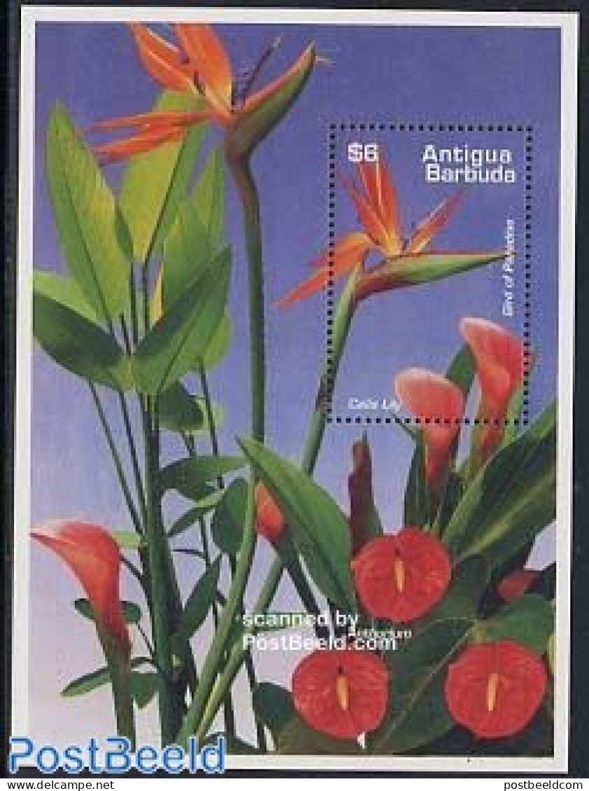 Antigua & Barbuda 1995 Flowers S/s, Mint NH, Nature - Flowers & Plants - Antigua And Barbuda (1981-...)