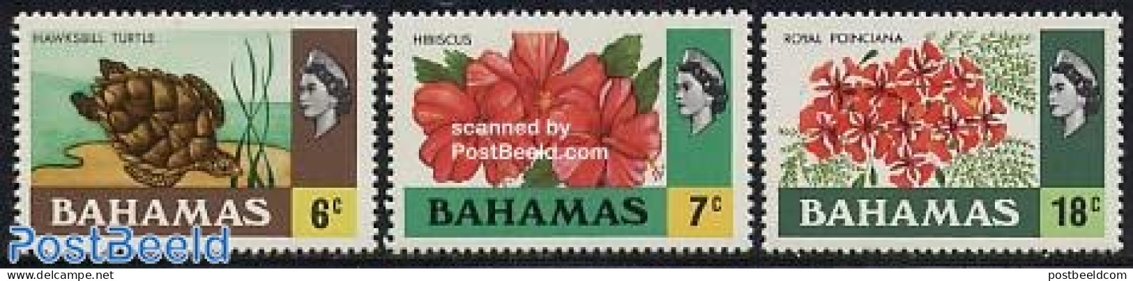 Bahamas 1971 Definitives 3v, Mint NH, Nature - Flowers & Plants - Turtles - Other & Unclassified