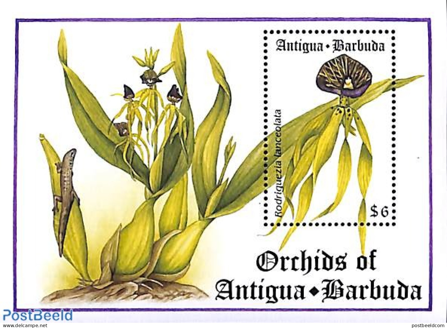 Antigua & Barbuda 1994 Rodriguezia Lanceolata S/s, Mint NH, Nature - Flowers & Plants - Orchids - Antigua Et Barbuda (1981-...)