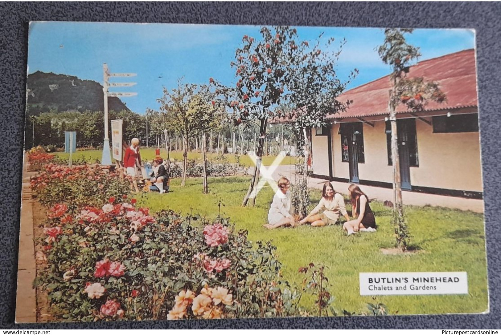 BUTLINS MINEHEAD CHALETS AND GARDENS OLD COLOUR POSTCARD SOMERSET BUTLIN NO M24 - Minehead