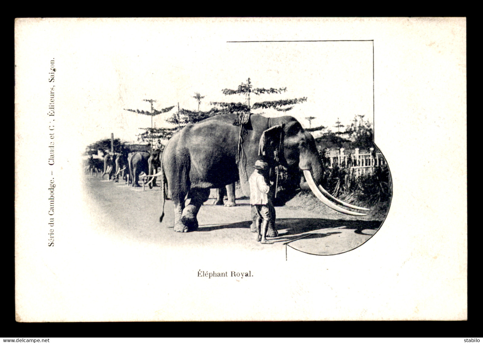 CAMBODGE - ELEPHANT ROYAL - Cambodge