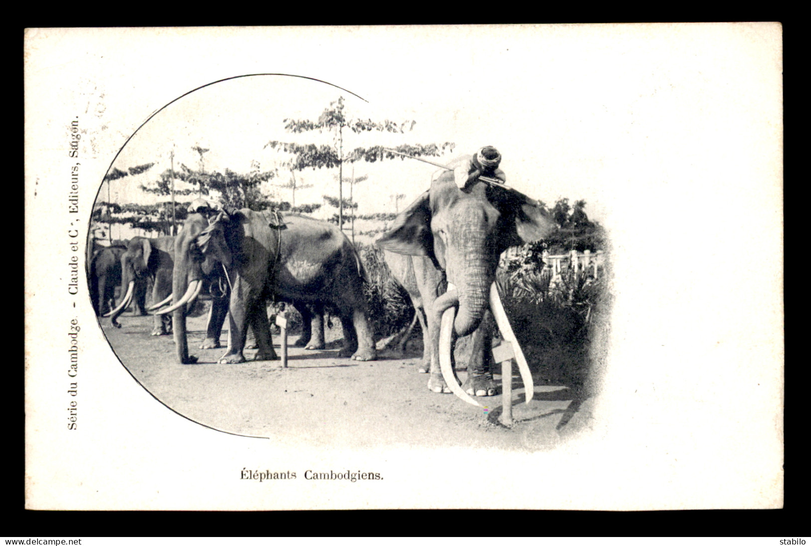 CAMBODGE - ELEPHANTS - Cambodge