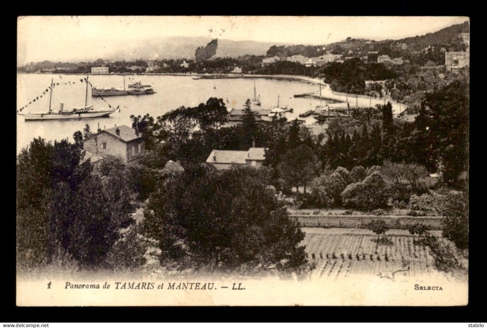 83 - LA SEYNE-SUR-MER - TAMARIS ET MANTEAU - Tamaris