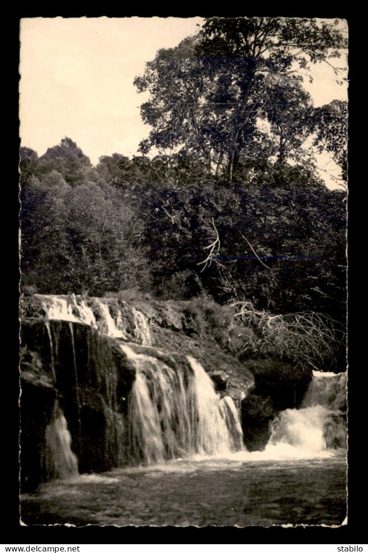 83 - CARCES - CASCADE SUR LE CARAMY - Carces