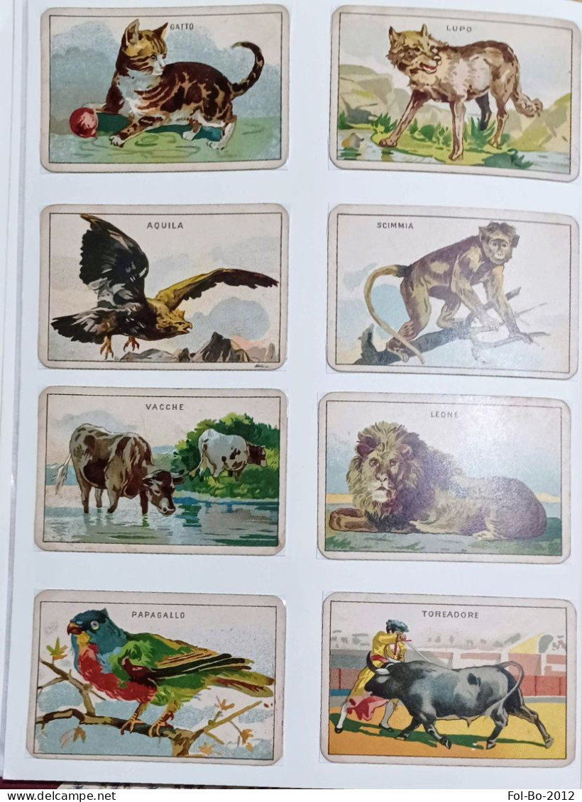 Il mercante in fiera 80 carte da gioco completo regno d'italia 1910 RARE