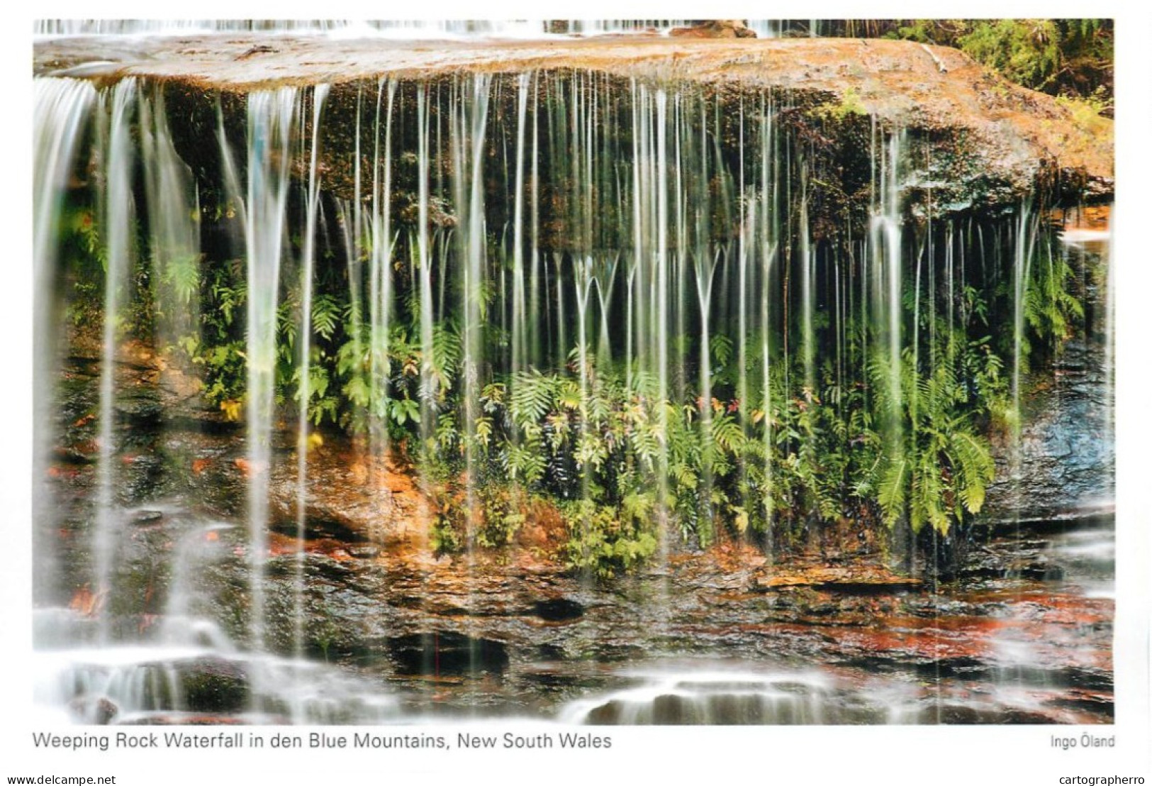 Postcard Australia New South Wales Weeping Rock Waterfall In The Blue Mountains - Other & Unclassified