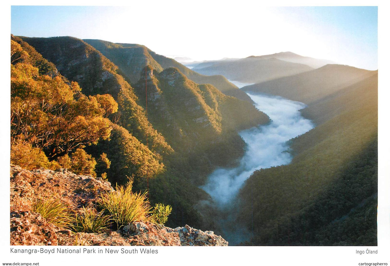 Postcard Australia New South Wales Kanangra Boyd National Park - Sonstige & Ohne Zuordnung