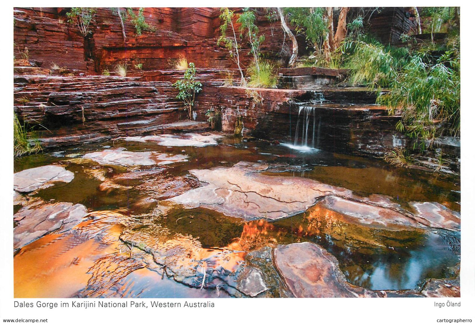 Postcard Australia Western Australia Dales Gorge In Karijini National Park - Altri & Non Classificati