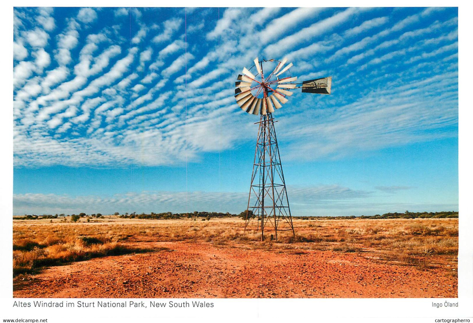 Postcard Australia New South Wales Altes Windrad In Sturt National Park Windmill - Sonstige & Ohne Zuordnung