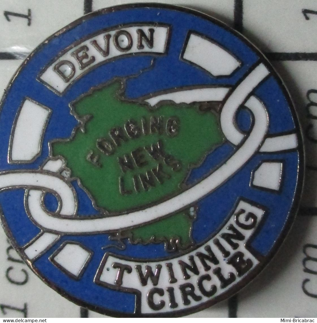 511C Pin's Pins / Beau Et Rare / ASSOCIATIONS / JUMELAGE DEVON TWINNING CIRCLES FORGING NEW LINKS - Verenigingen