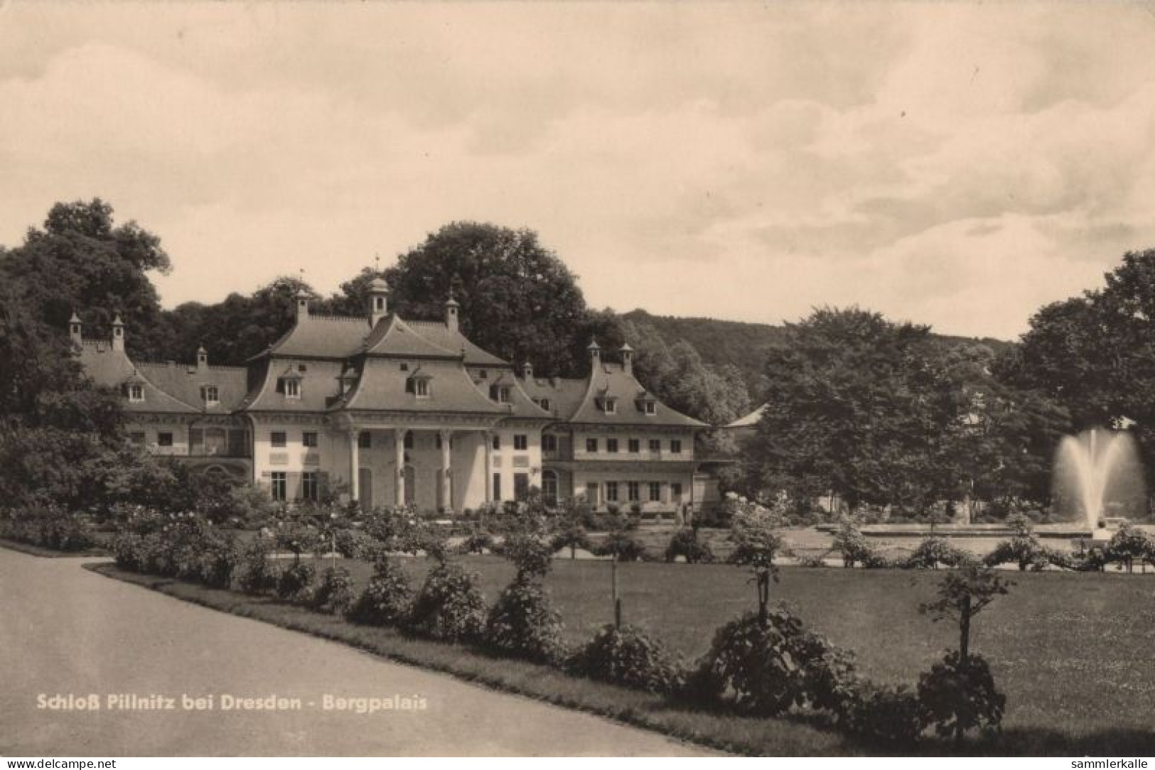 134238 - Dresden-Pillnitz - Schloss, Bergpalais - Pillnitz