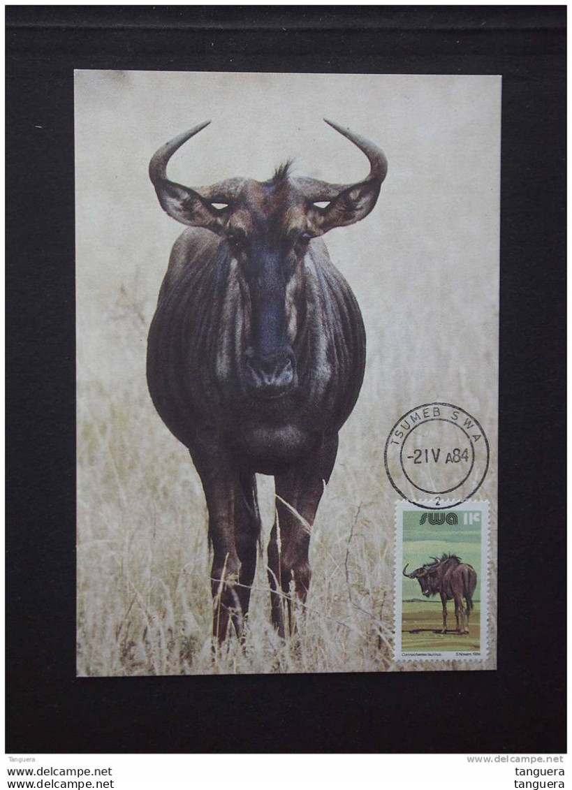 SWA Sud-Ouest Africain South West Africa Namibië 1984 MAXIMUM Carte Gnu Blue Wildebeest Yv 506 - Game