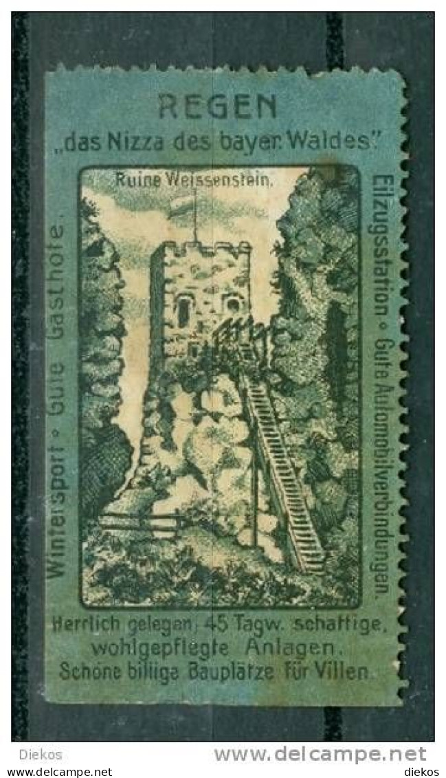 Werbemarke Cinderella Poster Stamp Regen Das Nizza Des Bayerischen Waldes #583 - Erinnophilie