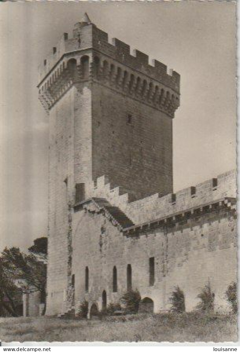 BEAUCAIRE  ( 30 )  LE  FOUR  DU  CHÂTEAU   ET  SES  REMPARTS  - C P M   ( 24 / 3 / 166 ) - Castles