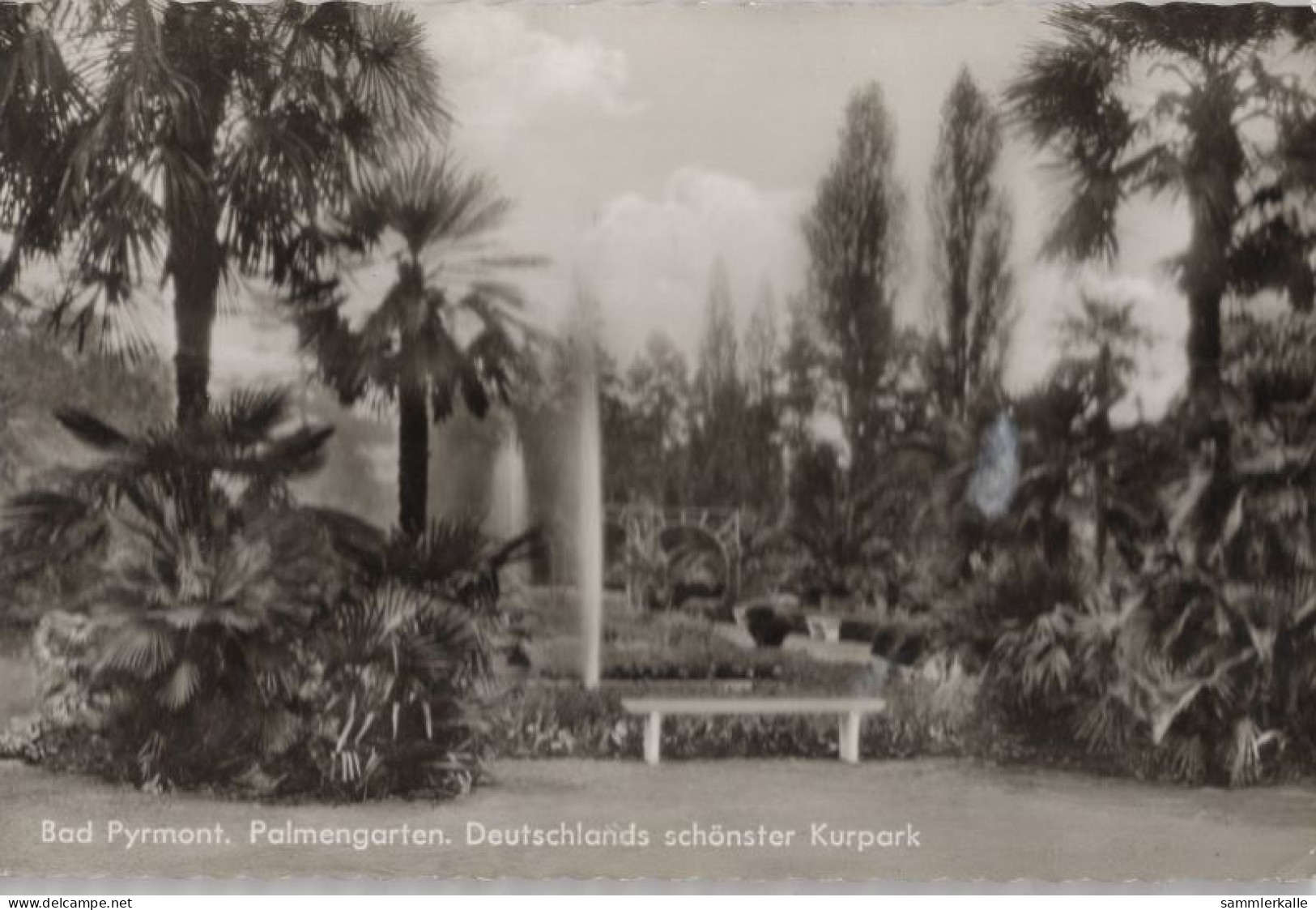 134654 - Siegsdorf-Bad Adelholzen - Palmengarten - Bad Pyrmont