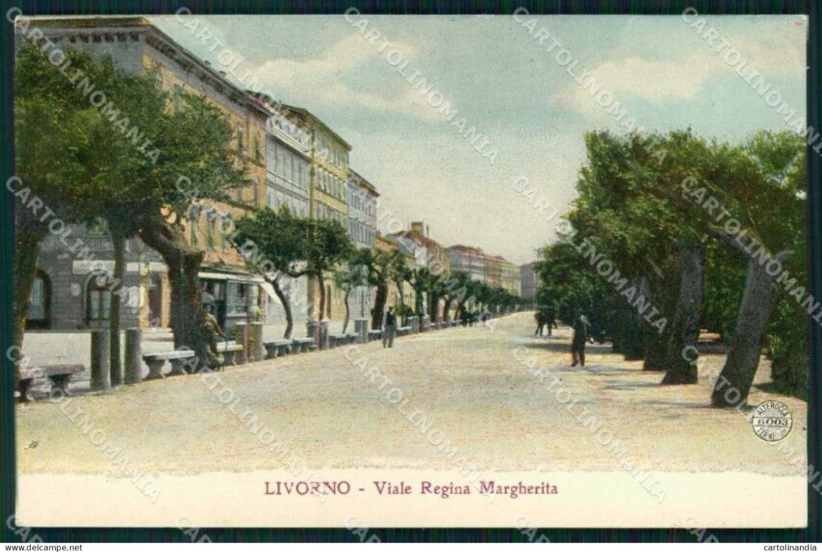 Livorno Città Viale Regina Margherita Alterocca 6003 Cartolina RB8483 - Livorno