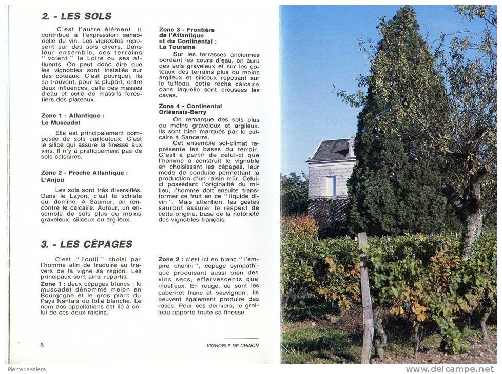 NCL - Vins De La Loire - Anjou Cabernet Touraine Chinon Saumur Muscadet Cheverny Etc - Vin Vigne - Voir Les Extraits - Centre - Val De Loire