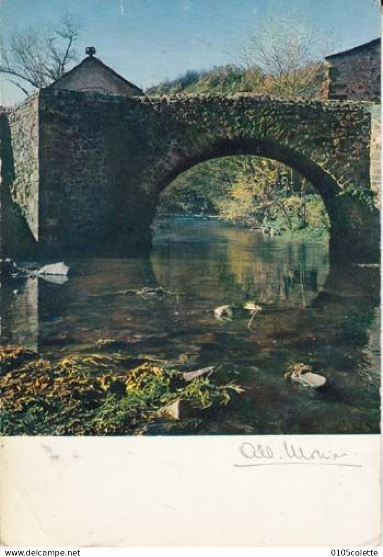 Carte - Photographes - Albert Monier  - Environs D'Issoire - Le Vieux Pont De Saurier - PRIX FIXE - ( Cd066) - Monier