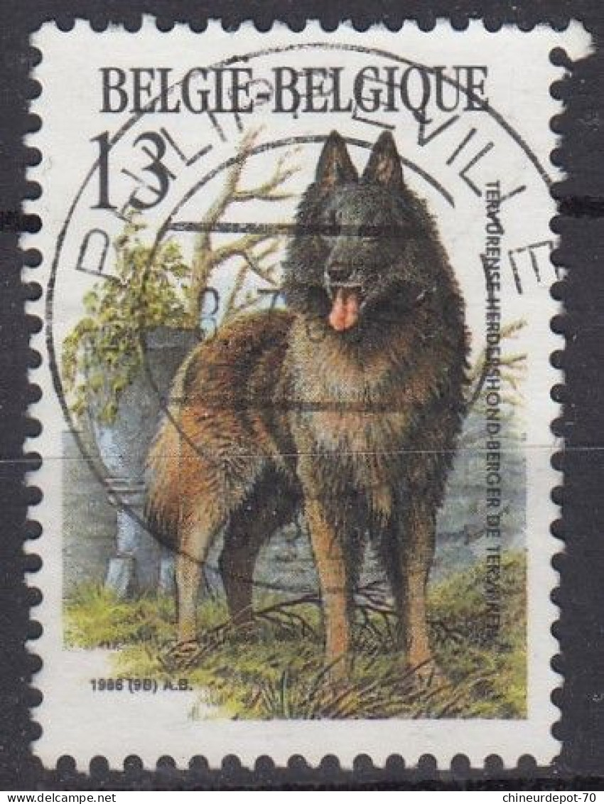 1986 CHIEN DE BERGER DE TERVUREN CACHET PHILIPPEVILLE - Usati