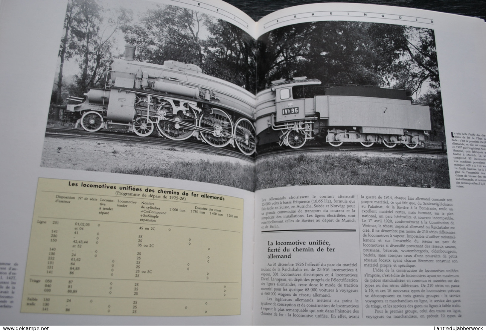 LAMMING Les Grands Trains De 1830 à Nos Jours Chemin De Fer Napoléon III La Flèche D'or Train Bleu Engerth Transsibérien - Ferrocarril & Tranvías