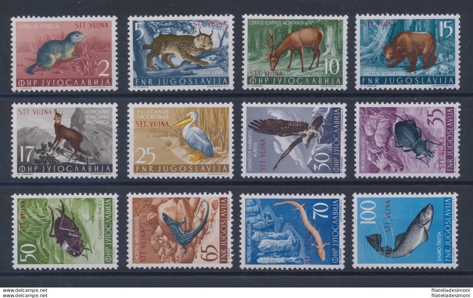 1954 TRIESTE B, N. 101/112, Animali, 12 Valori, MNH** - Other & Unclassified