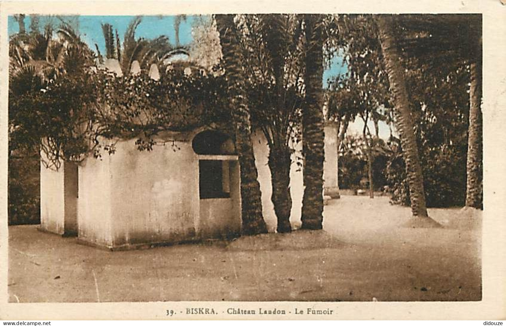 Algérie - Biskra - Château Landon - Le Fumoir - Colorisée - CPA - Voir Scans Recto-Verso - Biskra