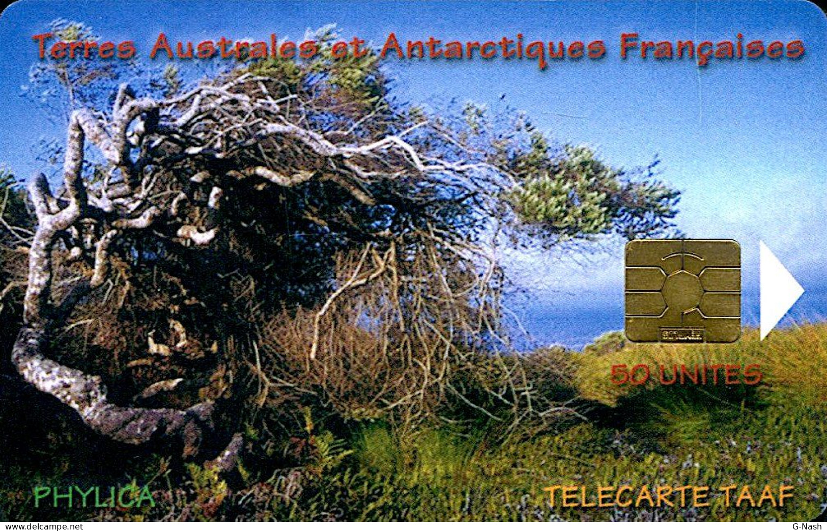 TAAF N° 29 - Télécarte 50u - Le Phylicia - TAAF - Terres Australes Antarctiques Françaises