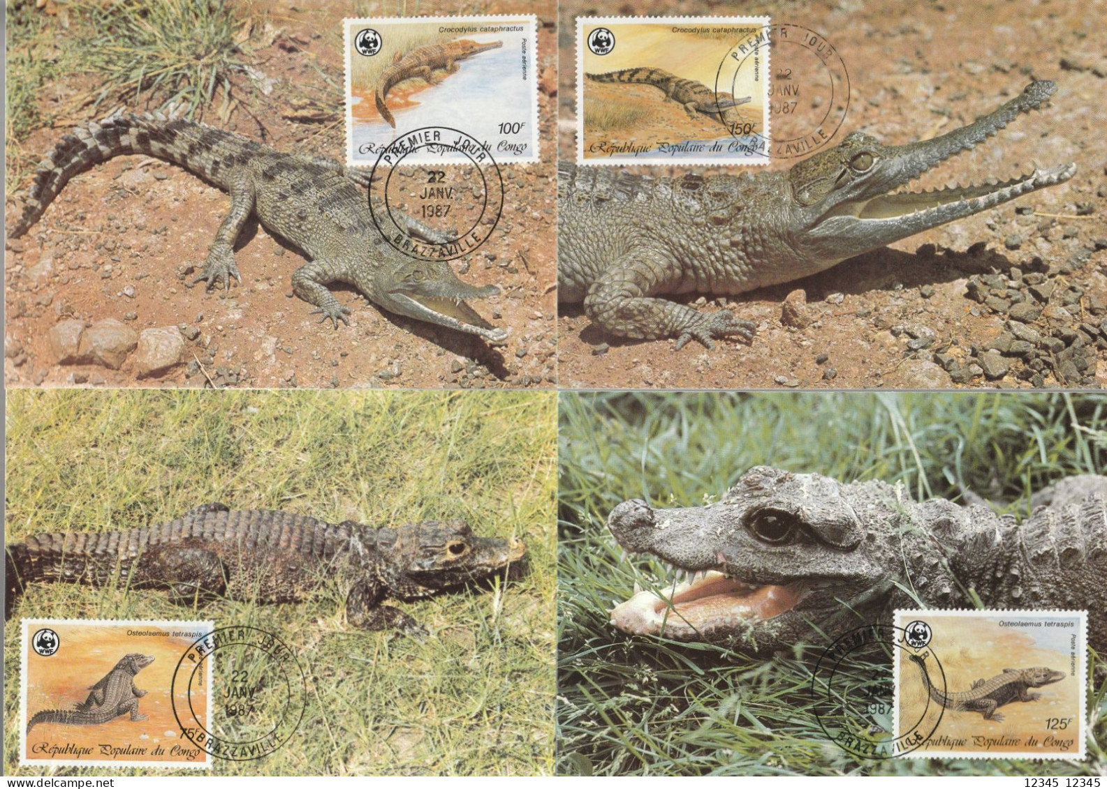 Congo 1987, Maximumcards Unused, WWF, Crocodiles - FDC