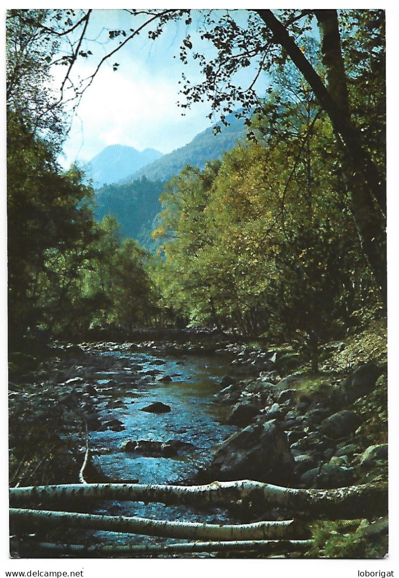 PAISAJE DE " PLANS DE BOAVI ".- VALLE DE CARDOS.- EL PALLARS / PIRINEO.CATALA.-  LLEIDA.- ( CATALUNYA) - Lérida