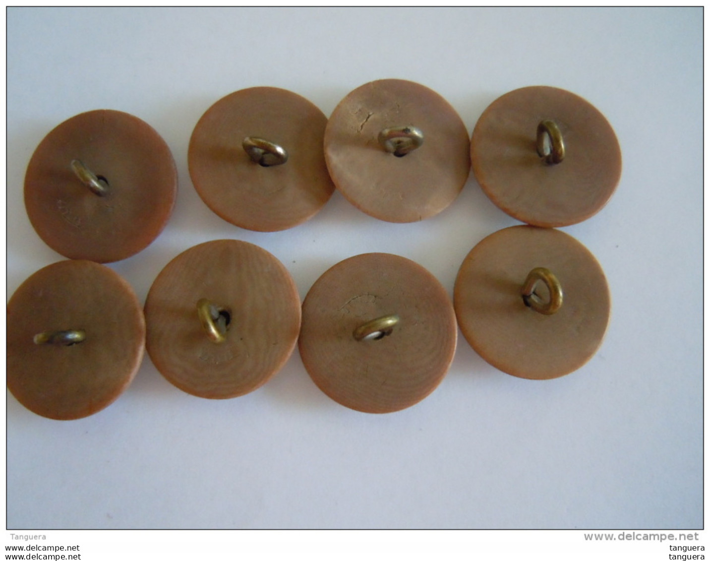 Vintage 8 Knopen Plastic? 8 Boutons 2,2 Cm "Italia" - Boutons