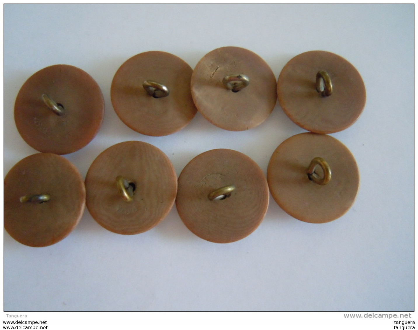 Vintage 8 Knopen Plastic? 8 Boutons 2,2 Cm "Italia" - Buttons
