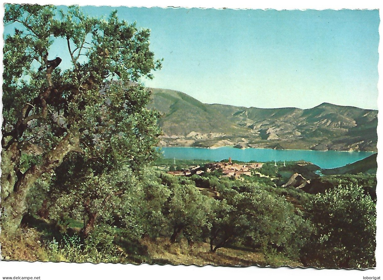 VISTA GENERAL / VUE GÉNERALE.- SALAS DEL PALLARS.-  EL PALLARS / LLEIDA.- ( CATALUNYA) - Lérida